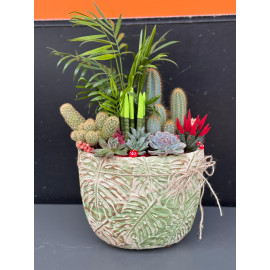 ÖZEL CANLI TERARYUM